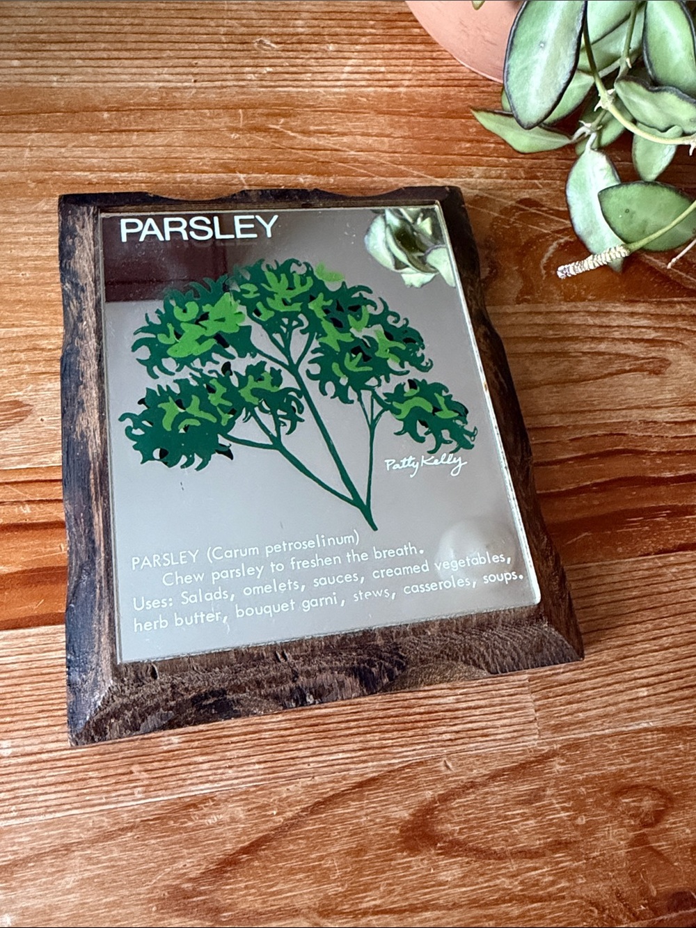 Vintage Parsley Herb Art Mirror Art